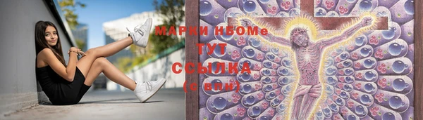 Альфа ПВП Новозыбков