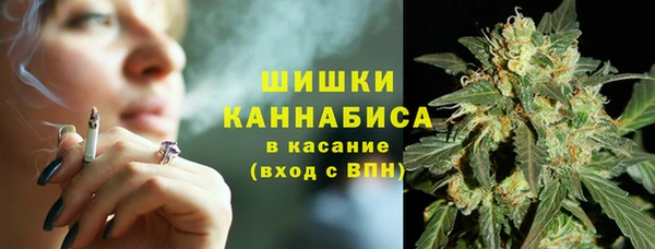 МДПВ Нягань