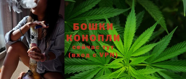 Альфа ПВП Новозыбков
