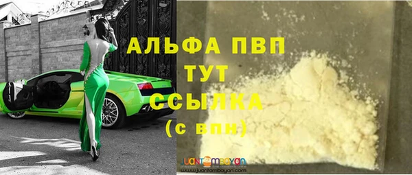 Альфа ПВП Новозыбков